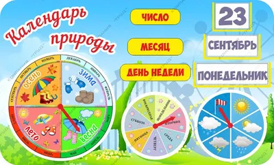 Календарь природы Птички купить - Topdekor.by
