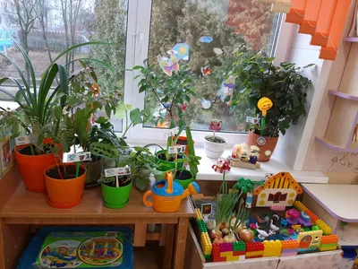Детский сад №159 г.Владивосток. Условия для детей