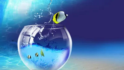 Discus Fish Aquarium Fish Tank — Приложения Майкрософт