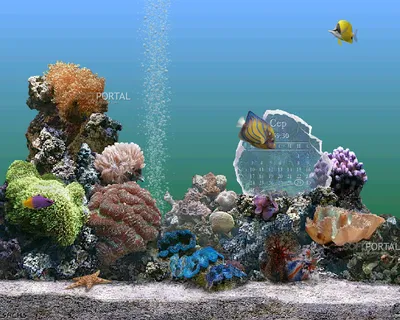 Обои Подводный аквариум, картинки - Обои для рабочего стола Подводный  аквариум фото из альбома: (3d-графика)