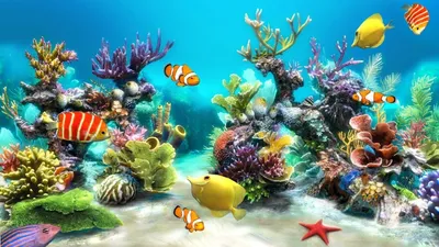 Симулятор Аквариума Живая Рыба Живая Рыба Аквариум 3D Подводный Мир,  Аквариум, аквариум, обои для рабочего стола, морская биология png | PNGWing