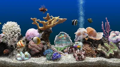 Декоративный аквариум для домашнего рабочего стола, аквариум для мелких рыб  | AliExpress