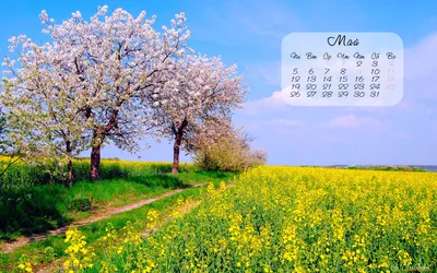 Обои Календари Природа, обои для рабочего стола, фотографии календари,  природа, весна Обои для рабочего стола, скачать обои картинки заставки на рабочий  стол.