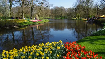 Картинки голландия Keukenhof Весна Природа Тюльпаны Пруд 3840x2160