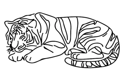 Раскраска Тигры, Тигрята, Коты на Новый год 2022 | Раскраски, Детские  раскраски, Рисунки мелом