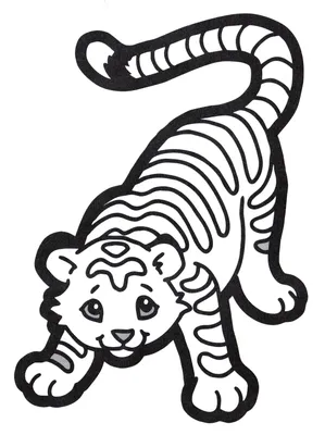 Раскраски тигр животные (45 фото) » Картинки, раскраски и трафареты для  всех - Klev.CLUB