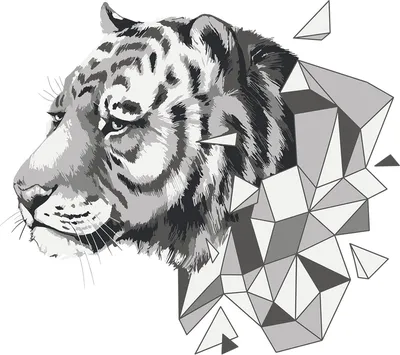 Раскраска Тигр для детей | RaskraskA4.ru
