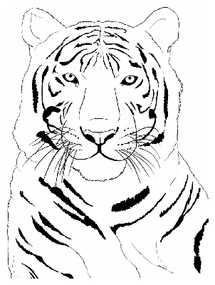 Раскраска Тигры, Тигрята, Коты на Новый год 2022 | Раскраски, Раскраска для  детей, Детские раскраски