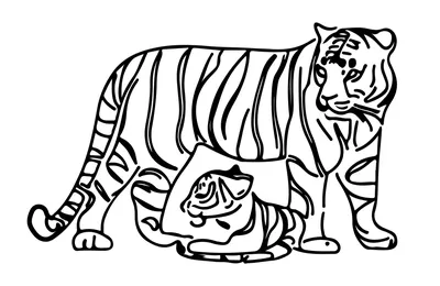 рисунок линии тигра для векторной иллюстрации раскраски книги PNG , книжный  рисунок, рисунок тигра, рисунок крысы PNG картинки и пнг рисунок для  бесплатной загрузки