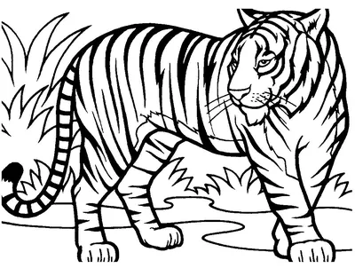 25+ страниц для раскрашивания тигра для детей
