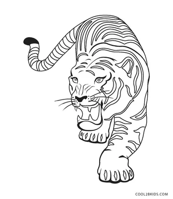 Раскраски тигр – Бесплатнo Pаспечатать или Cкачать Oнлайн