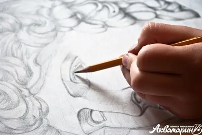 Рисование карандашом для начинающих