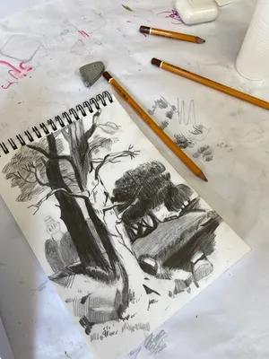 Курс рисования карандашом для начинающих