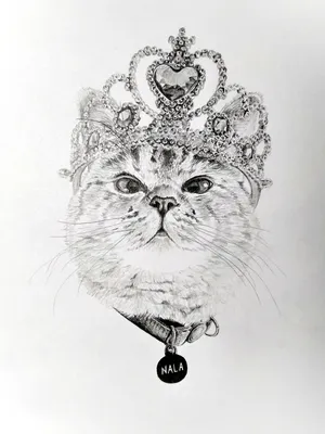 Картинки котиков для срисовки милые котики шт (35 шт)