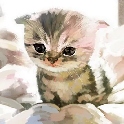 рисуем милого котенка карандашами, симпатичная маленькая картинка для  рисования, милый, мило фон картинки и Фото для бесплатной загрузки