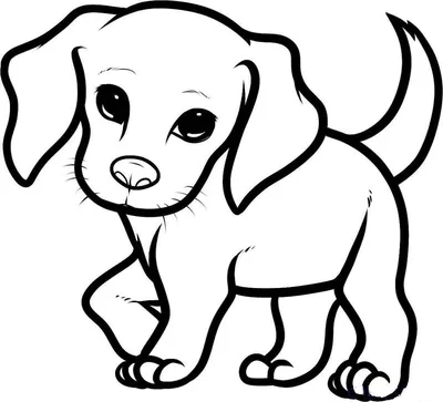 Рисунки карандашом поэтапно милые собачки (47 фото) » рисунки для срисовки  на Газ-квас.ком