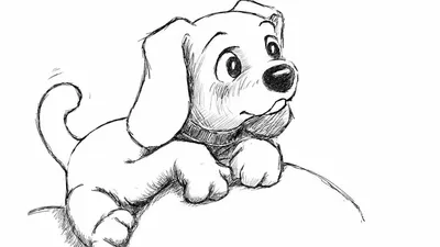 Рисунки собак для срисовки милые (34 шт)