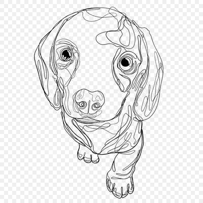 Легкие рисунки для срисовки собачки маленькие (35 шт)