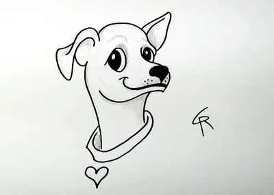 Собачка контурный рисунок (21 фото) » Рисунки для срисовки и не только
