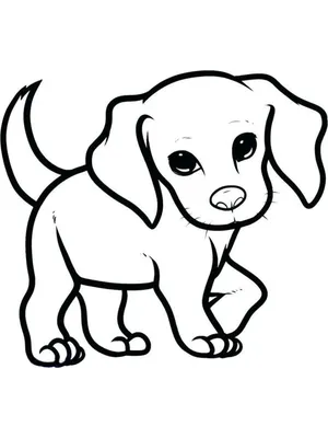 Рисунок собаки акварелью \"Бассет-хаунд\" Stock Illustration | Adobe Stock