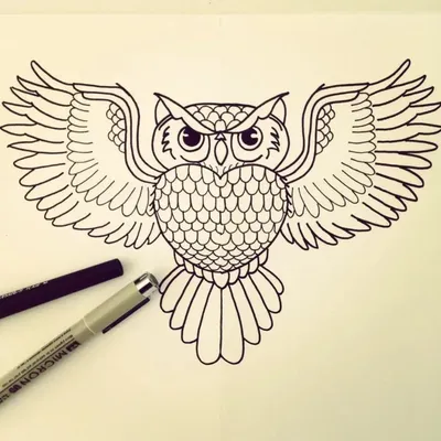 Картинки для срисовки совы обои