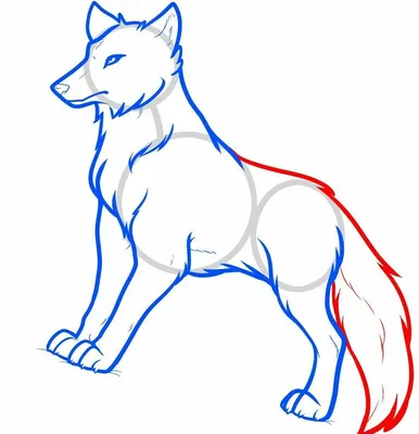 100 интересных рисунков волка для срисовки » Dosuga.net — Сайт Хорошего  Настроения