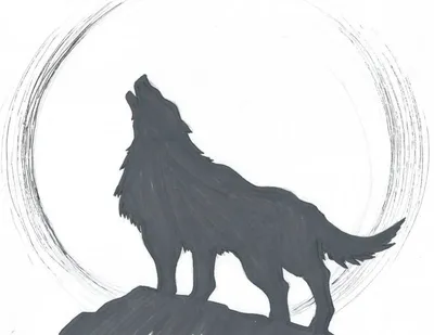 Волк рисунок аниме - фото и картинки abrakadabra.fun