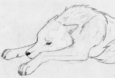 Рисунок волк с крыльями (Много фото!) - drawpics.ru