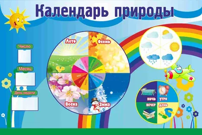 Плакат Творческий Центр СФЕРА Уголок природы — купить в интернет-магазине  по низкой цене на Яндекс Маркете