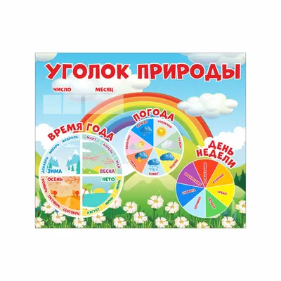 Уголок природы (арт.ДСКП-01) купить в Барнауле с доставкой: выгодные цены в  интернет-магазине АзбукаДекор