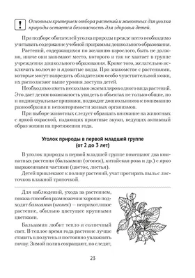 Уголок природы для детского сада \"Деревце\" (ID#737334302), цена: 399 ₴,  купить на Prom.ua