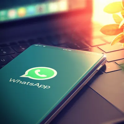 WhatsApp Business | Transform Your Business