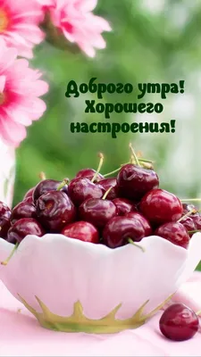 доброе утро красивые открытки картинки | Blueberry farm, Fruit photography,  Beautiful fruits
