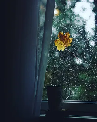 фото дождя за окном: 20 тыс изображений найдено в Яндекс.Картинках | Rain  photography, I love rain, Photo
