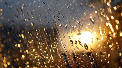 Дождь за окном :-( :: Михаил Цегалко – Социальная сеть ФотоКто