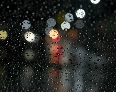 Дождь за окном... — Фото №107036