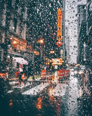 Картинки по запросу летний дождь за окном | 자연 사진, 꽃 사진, 예술사진