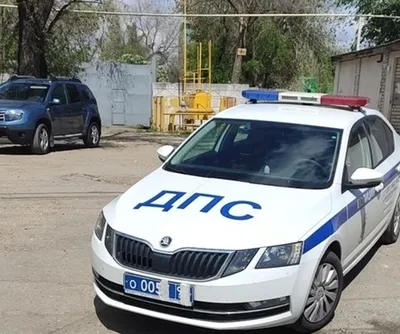Машина ДПС из Чечни с заклеенными номерами вызвала бурные обсуждения в  соцсетях Саратова - KP.RU