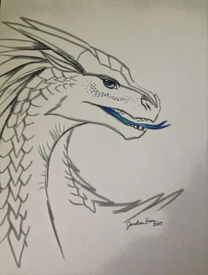 Рисунки Драконов для срисовки: 100 идей - простых, легких, красивых