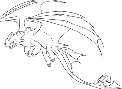 Аниме рисунки драконы легкие (45 фото) » рисунки для срисовки на  Газ-квас.ком