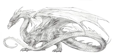 Картинки драконов для срисовки для детей 8 лет (45 шт)