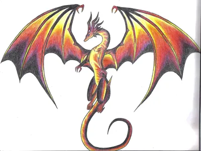 Рисунки драконов цветными карандашами - 75 фото