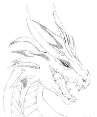 Рисуем голову дракона карандашом 2 - Demiart
