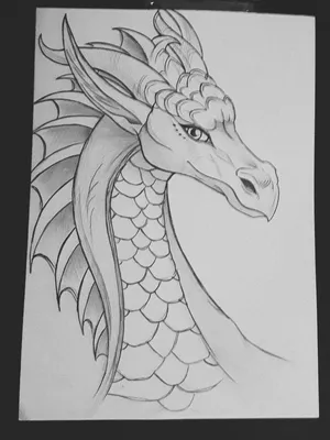 Картинки драконов для срисовки карандашом ⭐ Картинки с юмором | Dragon  drawing, Dragon artwork, Dragon art