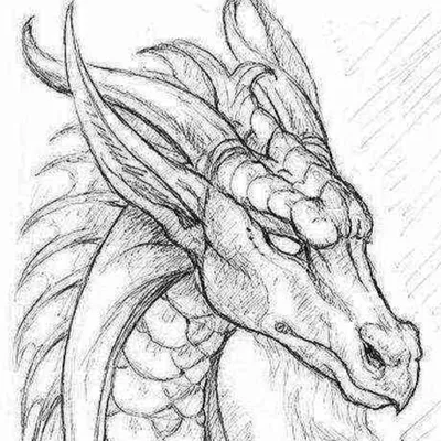 Рисунок дракона карандашом для детей 5 лет (32 шт)