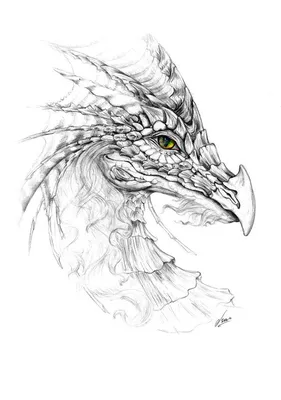 Превосходные рисунки драконов простым карандашом | Рисунки драконов,  Рисунки в ярких тонах, Рисовать глаза