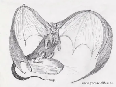 Как нарисовать дракончика карандашом и ракрасить акварелью? Видео урок -  как нарисовать милого дракона | Простые срисовки | Дзен