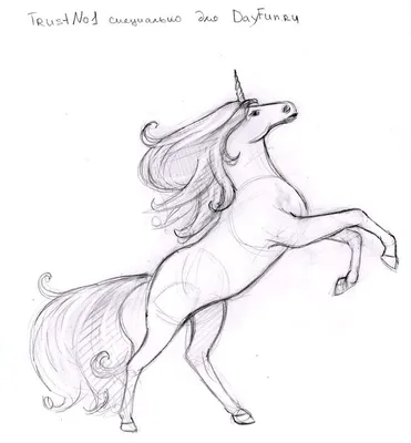 Unicorn drawing, Unicorn art, Unicorn sketch