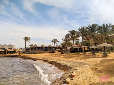 Отдых в Хургаде (Египет) в 2024 году — мой опыт | Tripex