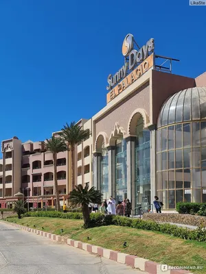 Sunny Days El Palacio 5*, Египет, Хургада - «Sunny Days El Palacio 2022  год, уставший отель с одним из лучших коралловых рифов в Хургаде» | отзывы